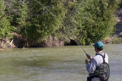 Fly Fishing For Beginners And Advanced Anglers