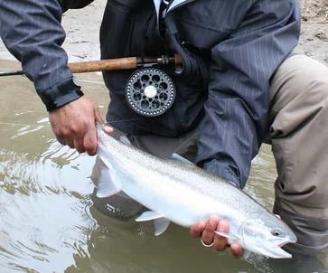 How to Centerpin for Steelhead // In-Depth Tutorial from a Salmon/Steelhead  Fishing Guide 
