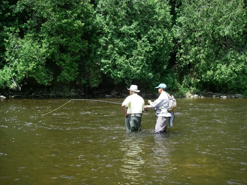 Learn to fly fish from a pro river guide.