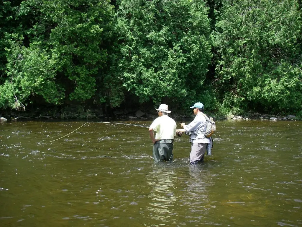 An Experts Step By Step Guide To Learn To Fly Fish 2024