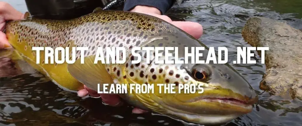 Expert Advice On Fishing For Trout, Steelhead, And Salmon