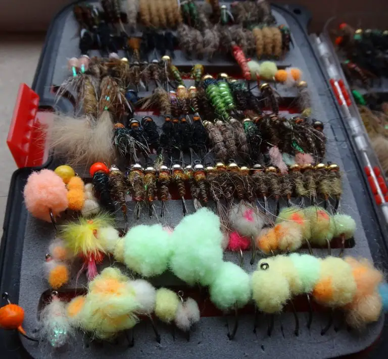 19 Most Effective Steelhead Flies That Guides Use