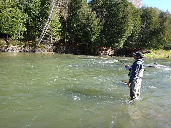 Steelhead baits for dirty water