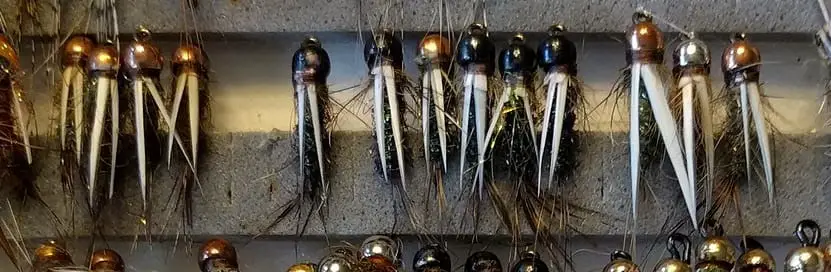 A row of steelhead nymphs