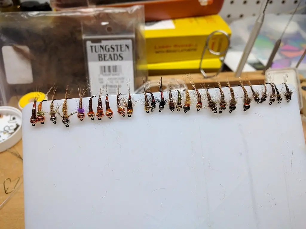 A row of about 20 nymphs just tied up at the fly tying table