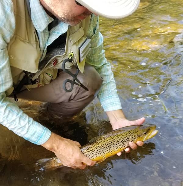 Catch more trout with fly fishing