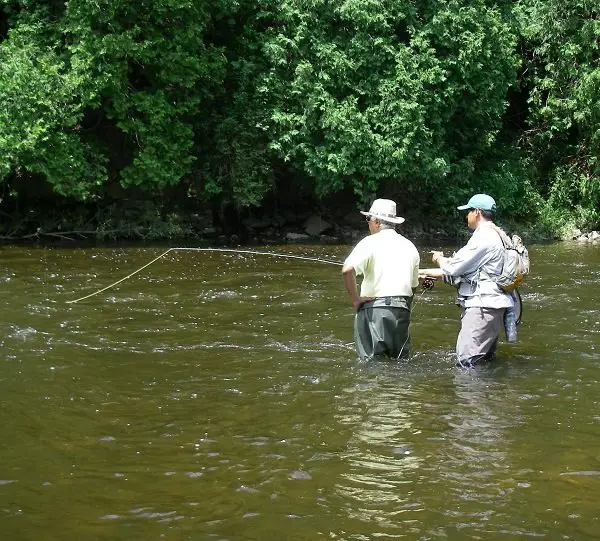 Learn Fly Fishing From A Mentor