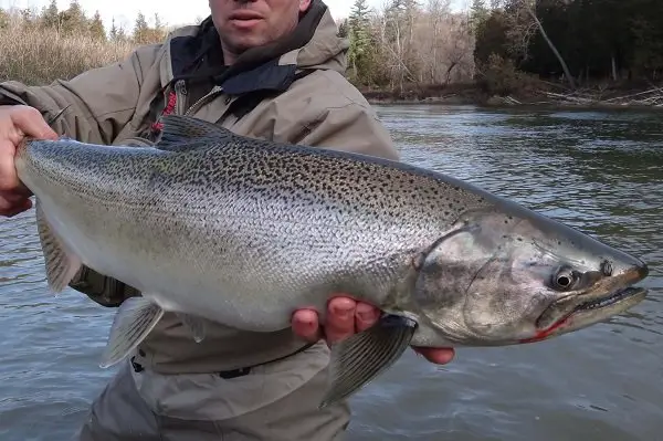 Hooks For Salmon