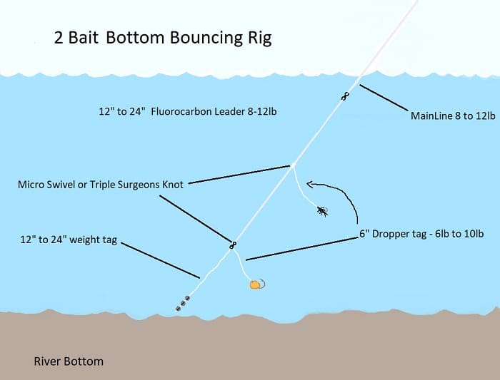 2 Bait Bottom Bouncing Rig