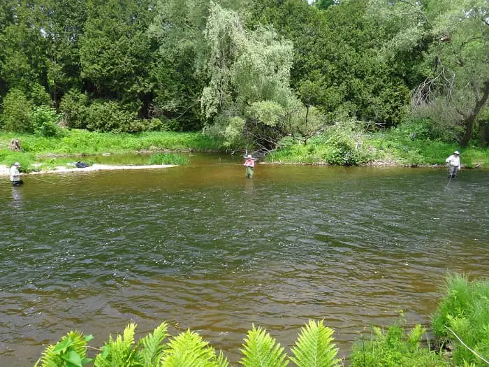 A Good Trout Pool