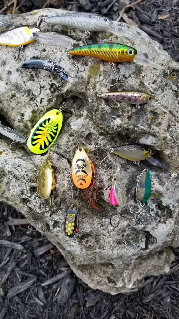 Good Lures For Tout