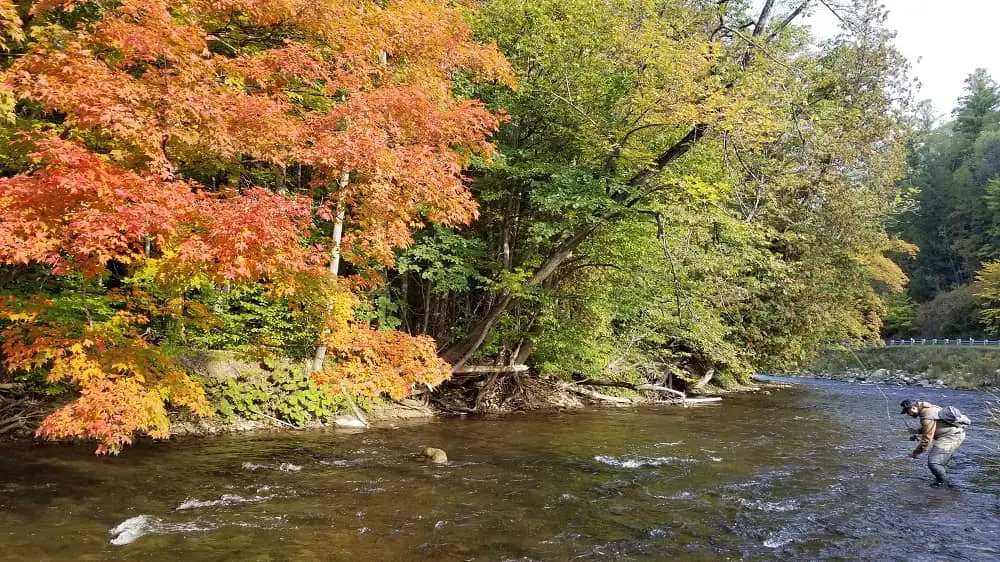 Fall Is Good For Trout Fishing