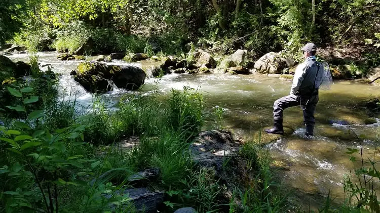 Fishing With Beads For Trout