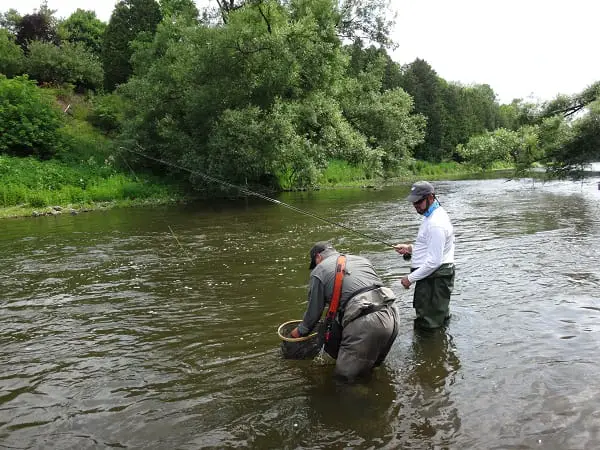 Hire the right trout guide