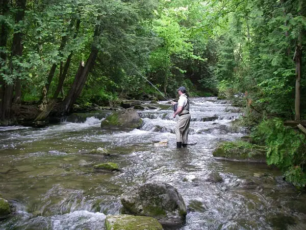 Fishing for trout with worms