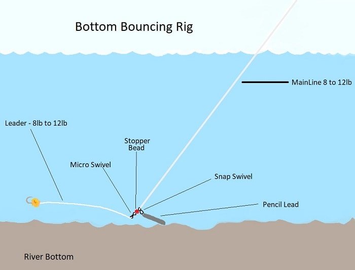 Bottom Bouncing Rig