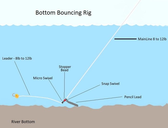 Bottom bouncing 2024