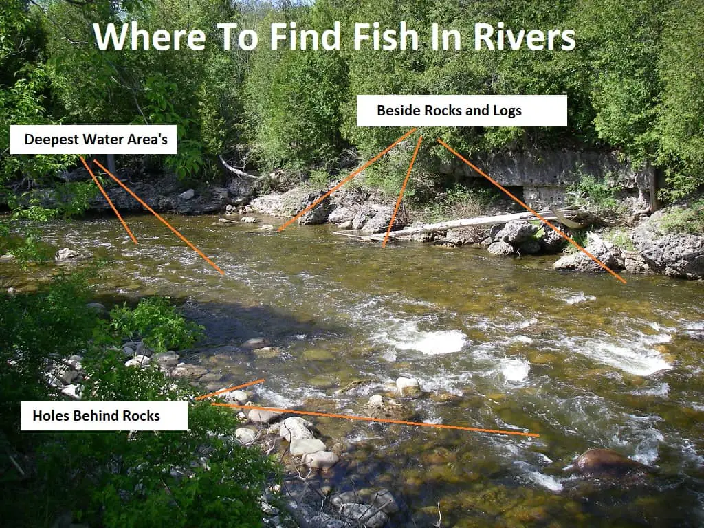 An image diagram showing all the potential holding spots for fish to hold in a river.