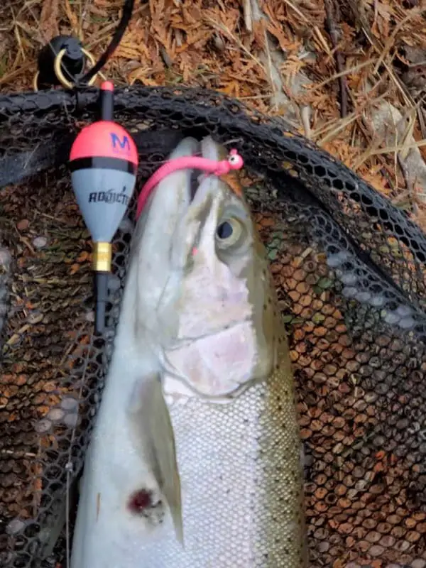 float fishing colorado planet fishing