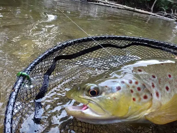 Rubber Coated Trout net