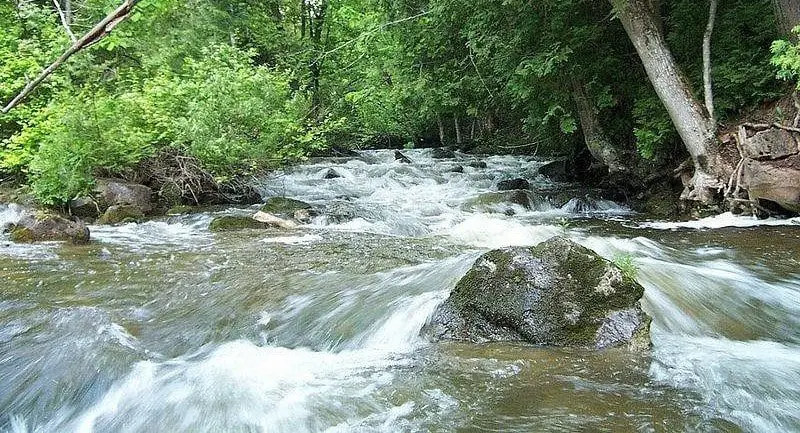 A Fast Trout river