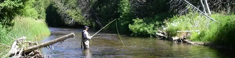 A floating fly line is best on most rivers..