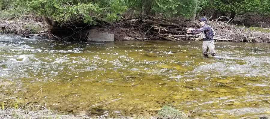 Bottom Bouncing In shallow water