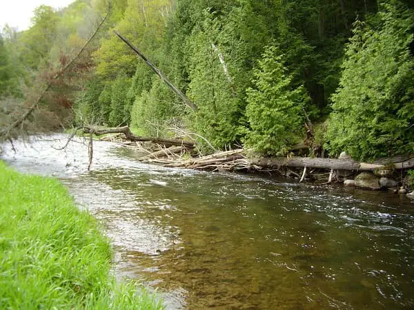 Lure fishing for trout in smaller rivers.