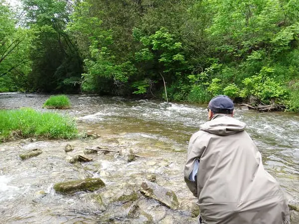 Lures For Trout In Small Rivers