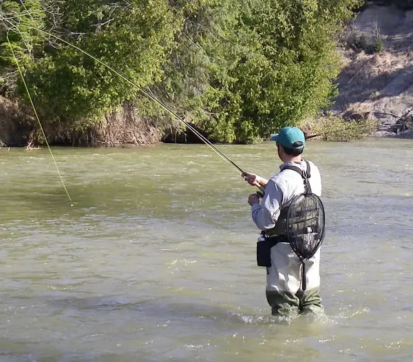 The perfect size trout net