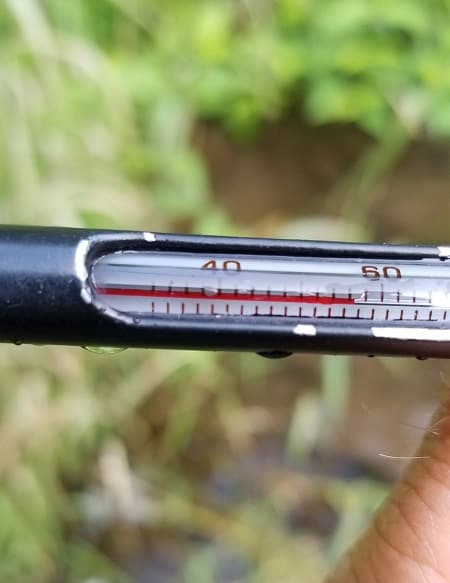 Stream Thermometer