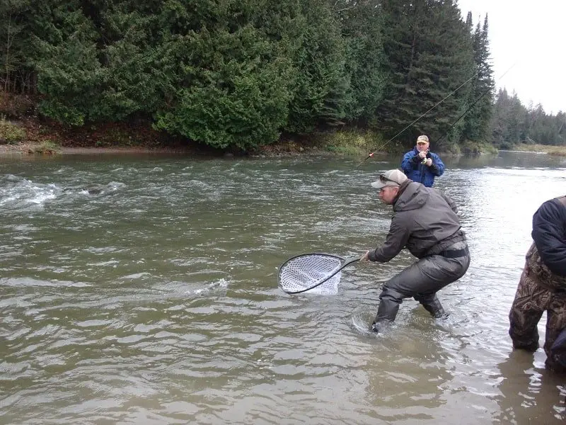 Float Fishing With Flies