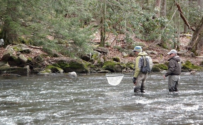 Best Trout Nets