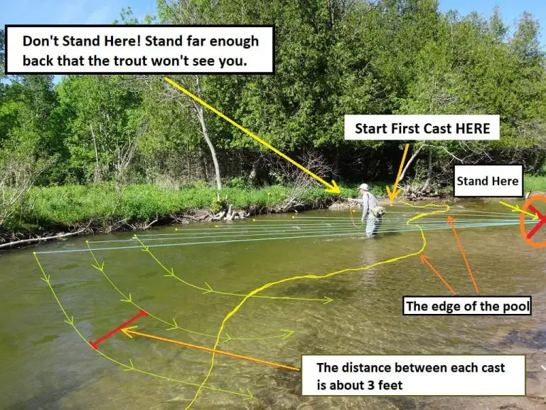 LURE STOP LOCATION AND RESOURCE GATHERING STRATEGY GUIDE TIPS 2026 visual data 8