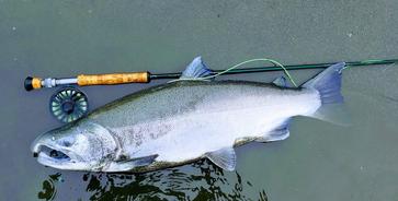 Streamer Fishing For Salmon: Best Tactics And Best Flies