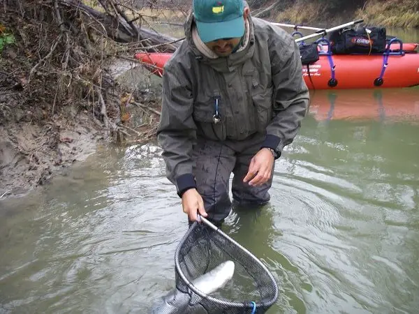 Trout net size