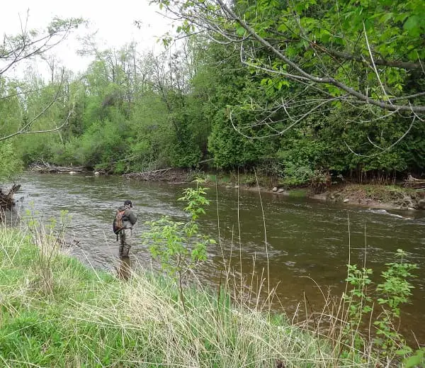 Medium sized rivers like this are best fished with fishing rods that are 9 feet to 11 feet in length