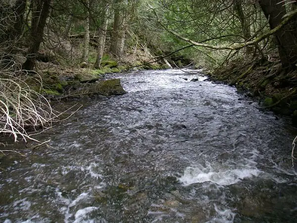 Small Creekslike this 10 foot wide creek require smaller rods