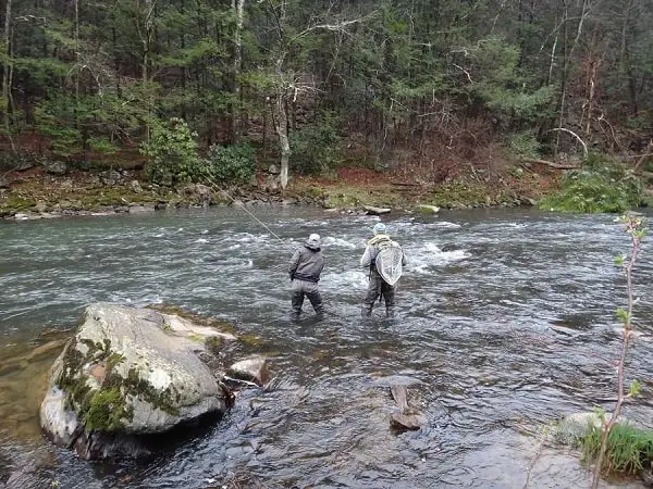 Guiding with trout rods