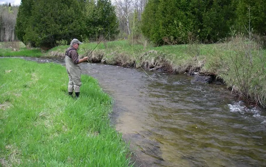 Best pound test leader for dry fly fishing