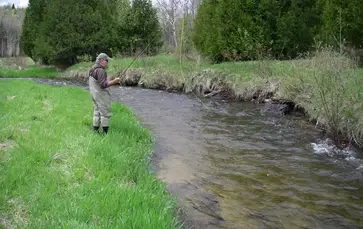 https://troutandsteelhead.net/wp-content/uploads/2021/03/Brook-trout-creek-fishing-900x-crop-min.jpg?ezimgfmt=rs:364x229/rscb44/ng:webp/ngcb44