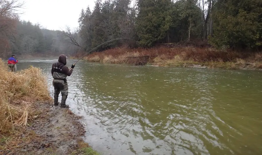 Anglers fishing a medium sized steelhead river