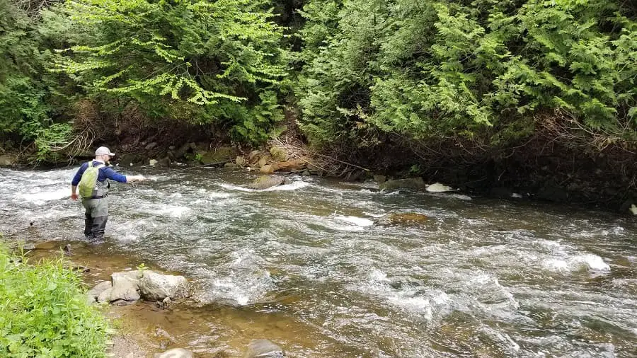 An angler fishing in clear water