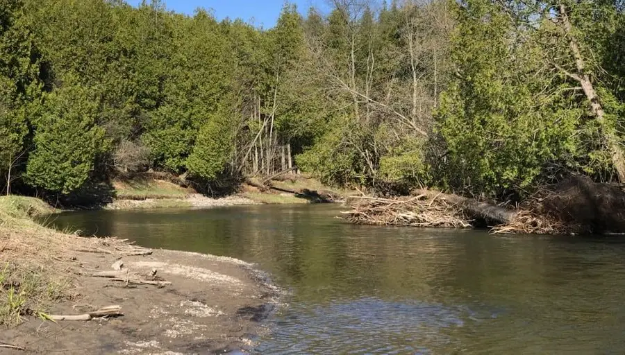 Using the right pound test leader for steelhead on a slow flat river