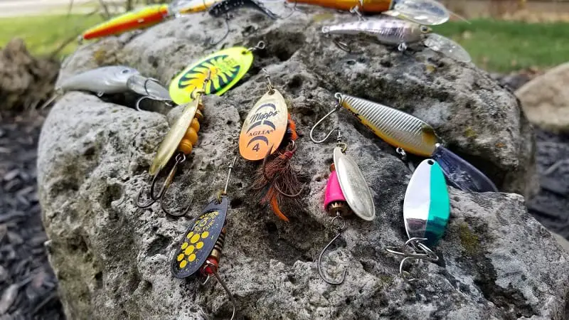 Lures for trout fishing after rain