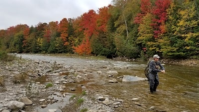 Steelhead fishing in the fall