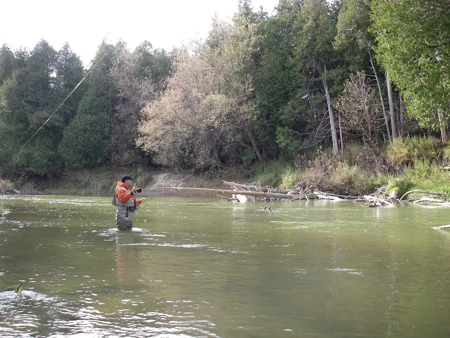 An angler using the right pound test leader for steelhead on a wooded rivers