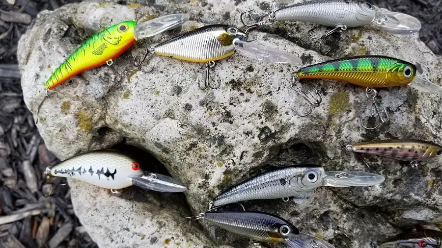 Crank baits are one of the best trout lures for spring