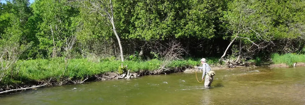 This angler fishing for trout is making a big mistake by standing too close