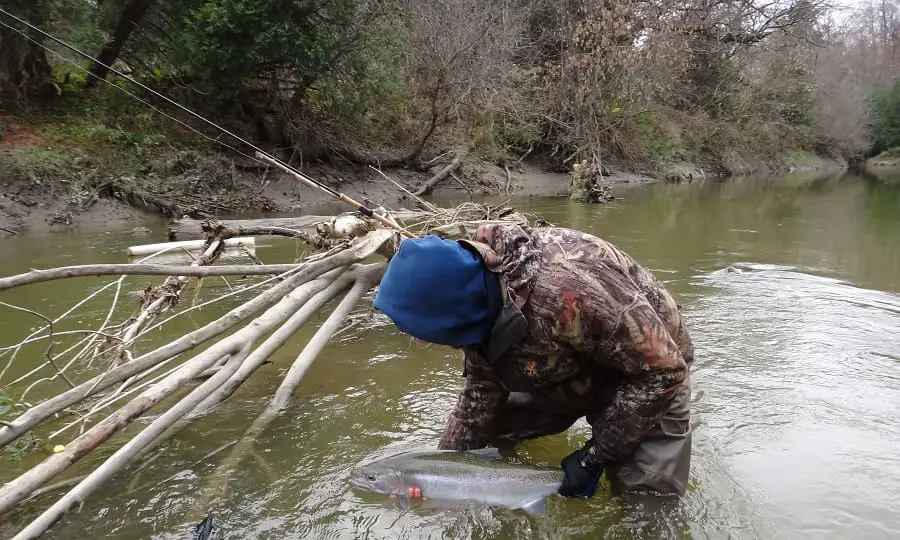 An angler learning how to catch more trout and steelhead on a guide trip.